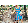 Kuranda Koala Gardens - Feed a Roo