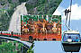 Skyrail, Pamagirri and Kuranda Scenic Railway