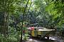 Grand Kuranda Experience (with Port Douglas pickup)
