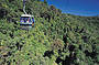 Glide over the rainforest